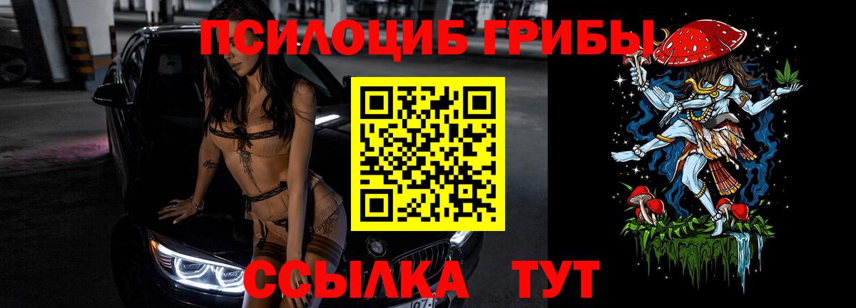 как найти наркотики  Галлюциногенные грибы Psilocybe  Вход с VPN  Лангепас 